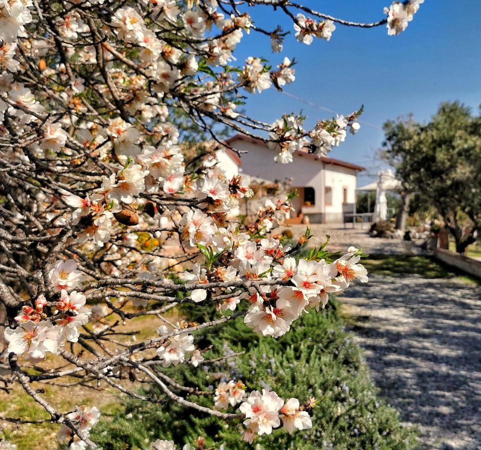 Borgo Santa Lucia Villa Cropani Eksteriør billede